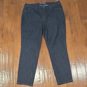 Gloria Vanderbilt Indigo Jeans